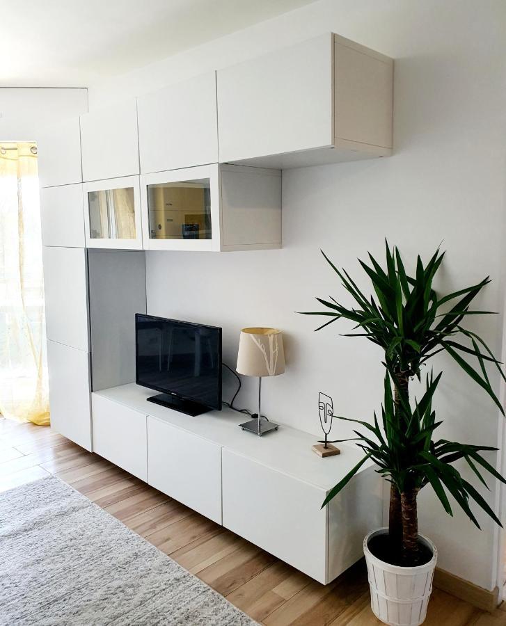 Bel Appartement A 50M De La Plage, 2 Pieces Climatisees, Parking Prive Antibes Dış mekan fotoğraf